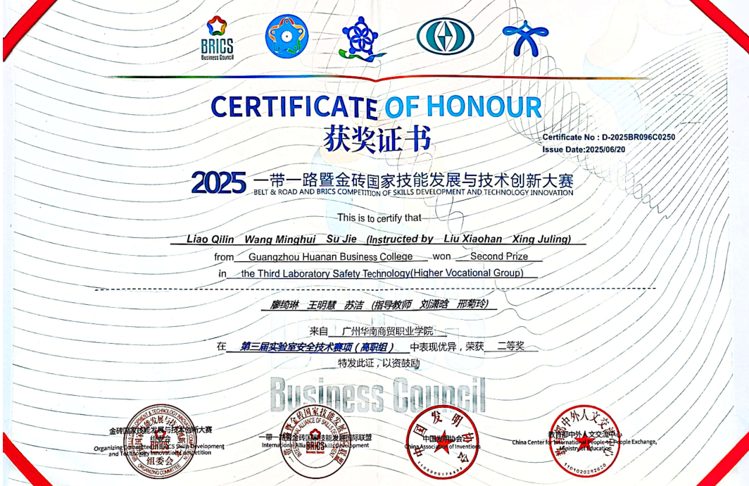 2025一带一路暨金砖国家技能发展与技术创新大赛——第三届实验室安全赛项 （高职组）二等奖（国家级）